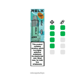 RELX Vape Ankara | nane (yeşil) RELX MagicGo 4000 tek kullanımlık vape L0ZT424