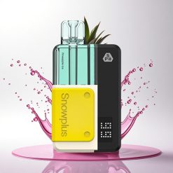 Snowplus Swift 5000 Puffs Ananas Buz 1000 mAh Dual Mesh